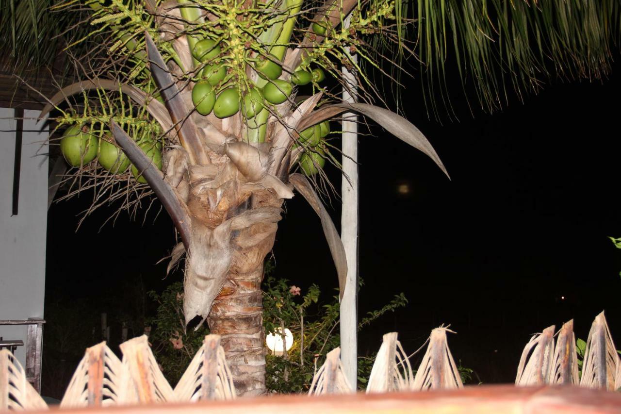 Pousada Thai Bungalows-Taipu De Fora Barra Grande  Esterno foto